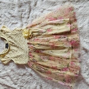 Little girl lace and floral dress